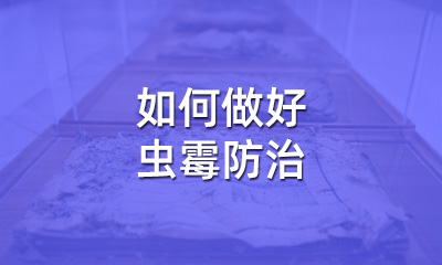 檔案修復(fù)后，如何做好蟲霉防治